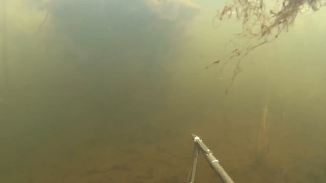 Подводная охота последний заныр 2016