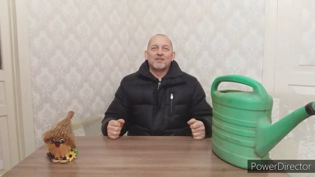 Обработка кипятком смородины, крыжовника и йошты на приусадебном участке. смотреть онлайн