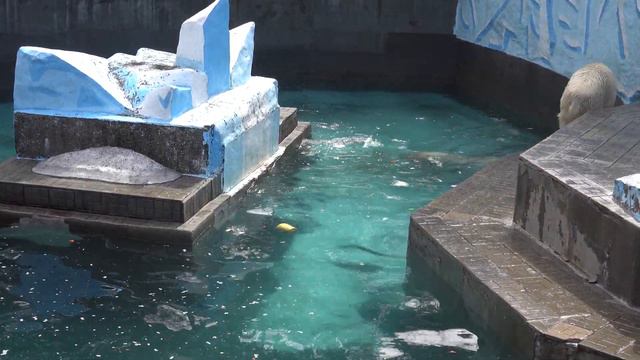 Кай и Герда  28 04 2021