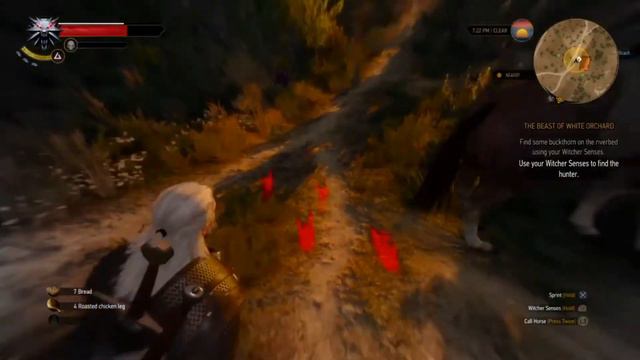 The Witcher 3 Wild Hunt Walkthrough - Part 3! Herbs & Wild Dogs - Gameplay w/ ControlMedia смотреть онлайн