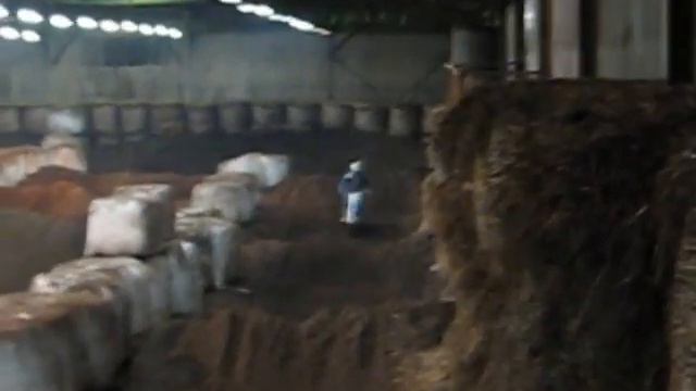 Emil Gustafsson horshaga 2009 смотреть онлайн