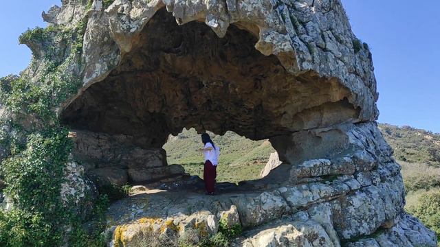 Video 10. PN de los Alcornocales, Andalucía, Spain смотреть онлайн