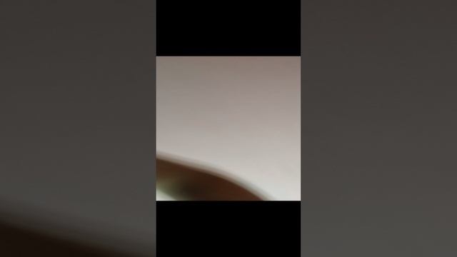 прятки смотреть онлайн