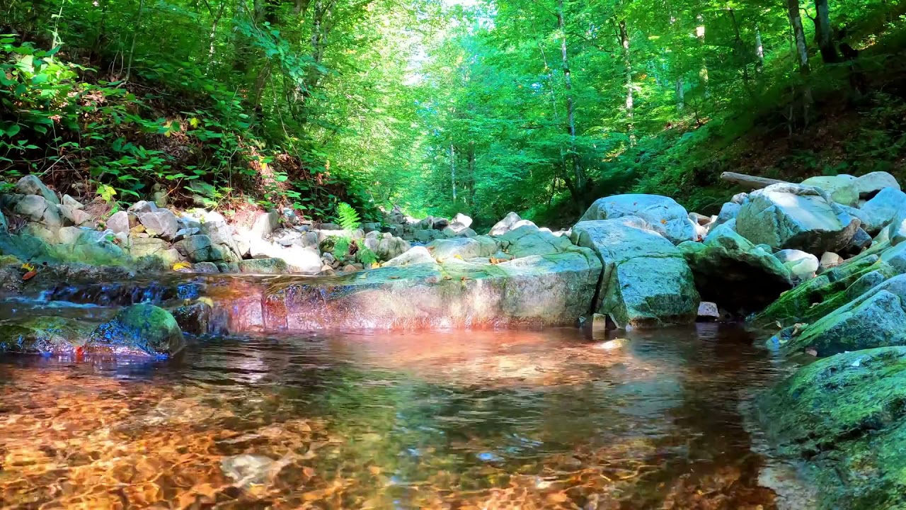 Релакс. Река В Осеннем Лесу, Для Расслабления. Расслабляющее Щебетание Птиц ✦ Релаксация смотреть онлайн