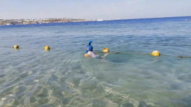 VLOG: Отпуск Египет Султан Гарденс Резорт Шарм эль шейх Пляж SULTAN GARDENS RESORT 5* Отзывы 2019 смотреть онлайн