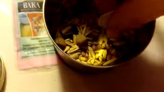 Кормление дегу!!! смотреть онлайн