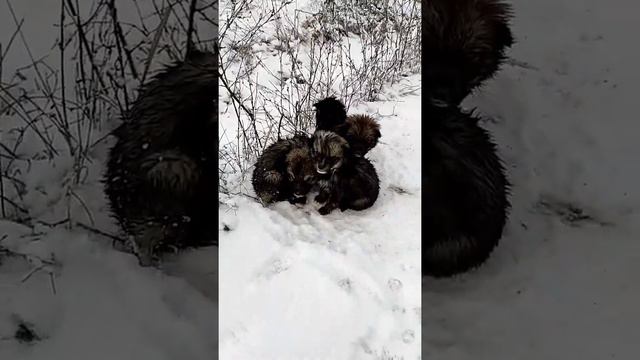 ДОБРОТА СПАСЁТ МИР!!! смотреть онлайн