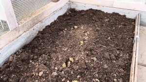 КАК ПОДГОТАВЛИВАЮ ТЕПЛИЦУ??ЧТО ДЕЛАЮ С ЗЕМЛЁЙ?ТРИХОДЕРМА В ПОМОЩЬ?