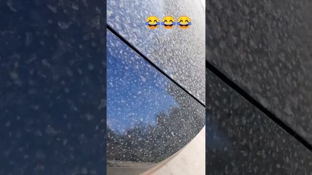 ТТ 12 ВАЛИТ???! Шатаем багажник смотреть онлайн