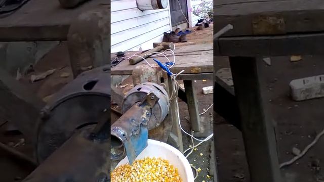 машина для очистки кукурузных початков от зерна своими руками смотреть онлайн