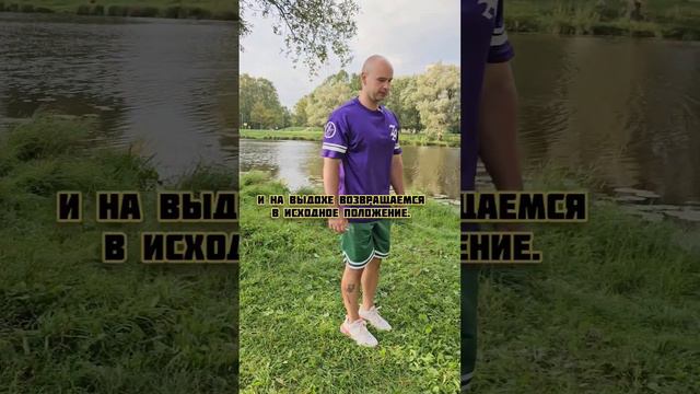 Тренировка для новичка #фитнес #спорт #тренировка смотреть онлайн