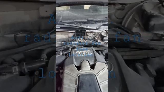Audi radiator fan fuse location смотреть онлайн