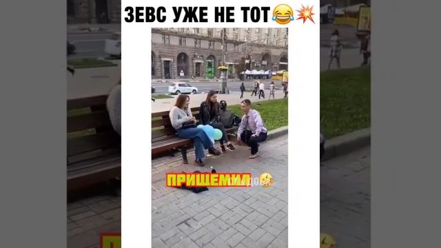 Зевс