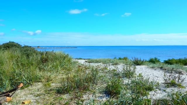 Olympus Stylus SP-100EE Test смотреть онлайн