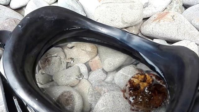 Размножение крабов (18+) смотреть онлайн