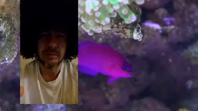 alcohol 120 ne fonctionne plus. comment reparer Alcohol 120 . проблема установки alcohol 120. смотреть онлайн