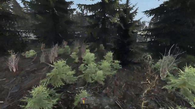 Dayz намальск смотреть онлайн