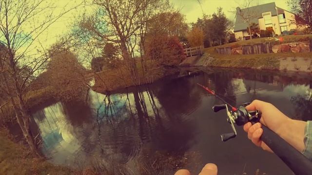 Pêche au casting #9 Brochet смотреть онлайн