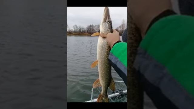 Alaskan Dakota испытание рыбалкой смотреть онлайн