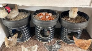 Гнезда в 2 этажа из труб и вывернутых шин для кур несушек