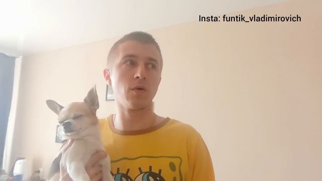 Как нужно воспитывать собаку Рассказ о том, почему я ругал и обижался на Фунтика) смотреть онлайн