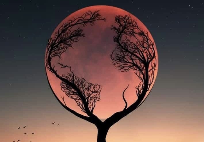 Но псу способен стих свой прочитать