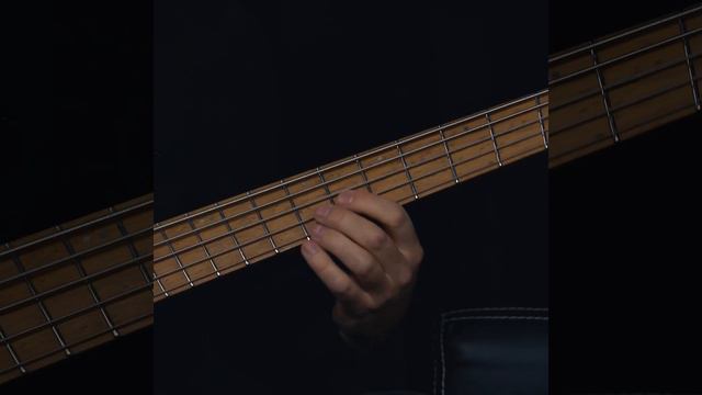 Alkaloid - Alter Magnitudes (Played On Headless Bass)