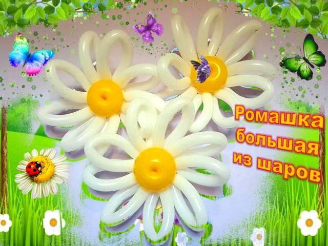 Ромашки из шаров. Как сделать. Мастер класс. Balloon daisies. Balloons. DIY. Hand made. How make смотреть онлайн