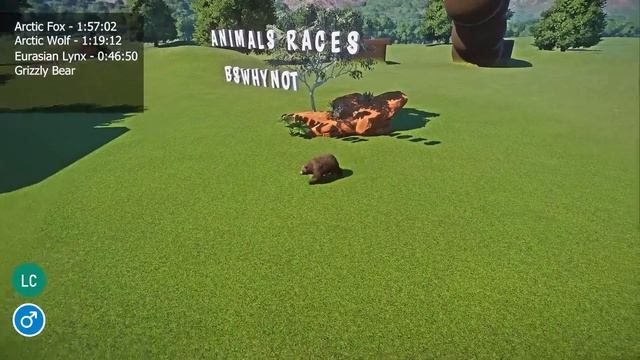 Arctic Carnivores Speed Races in Planet Zoo included Red Fox, Arctic Wolf, Lynx, Polar Bear etc... смотреть онлайн