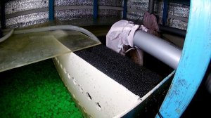 Устройство Биофильтра. Ответ для подписчика.