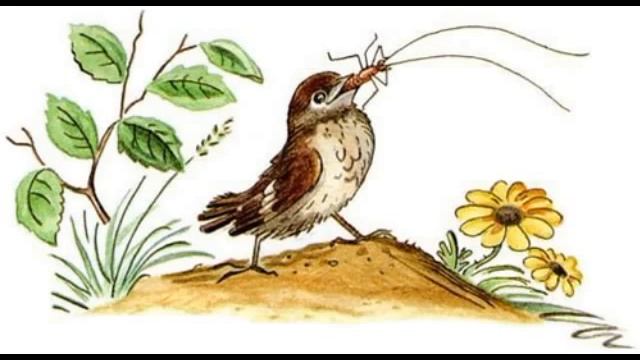 КОРНЕЙ ЧУКОВСКИЙ: Тараканище – Телефон - (Сказки с картинками). смотреть онлайн