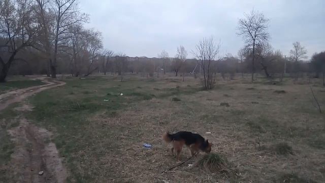 ОХРАНА парка "Самал". (Продолжение БЫДЛО-ОХРАНА парка "Самал") смотреть онлайн