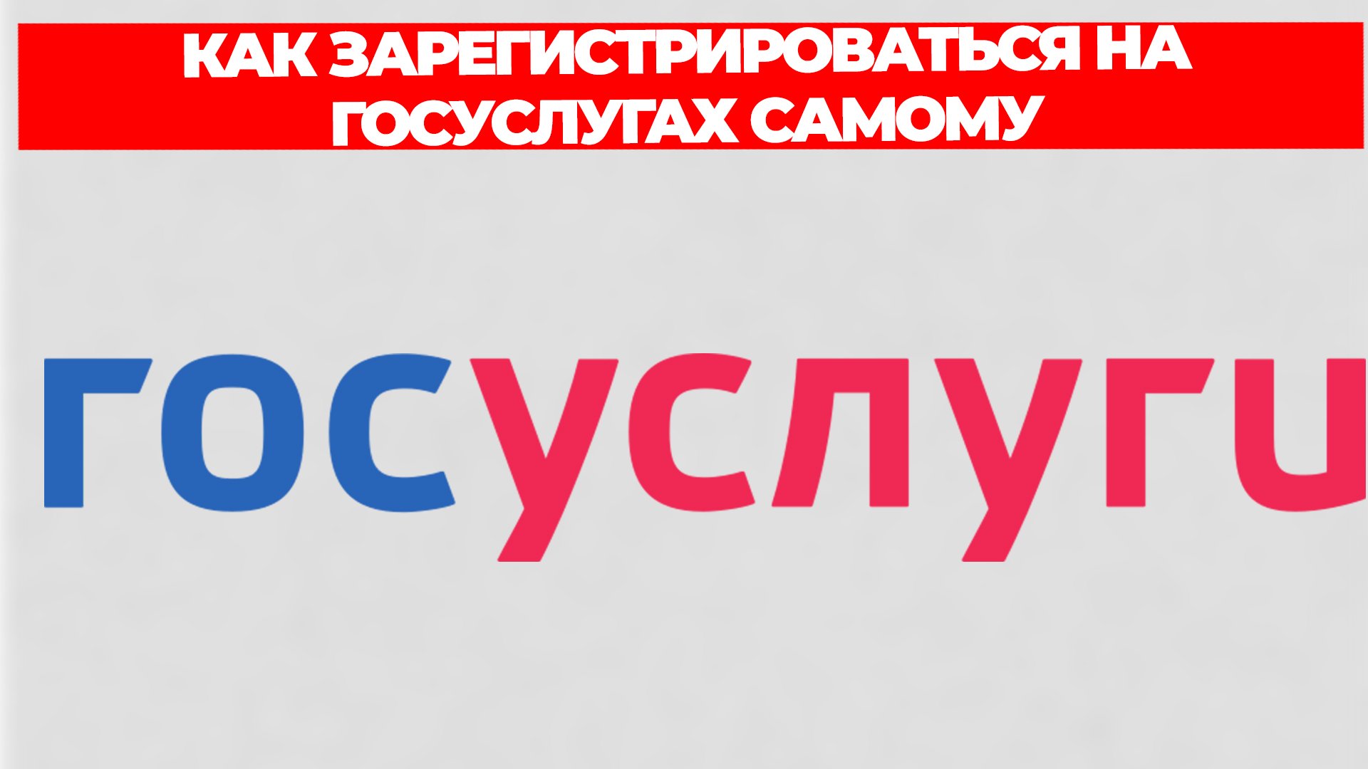 Всезнающий Енот