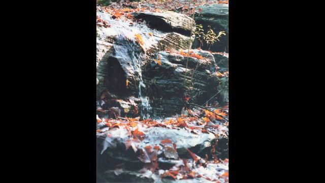 Juhan Puhm ~ Two Pieces by Robert De Visee смотреть онлайн
