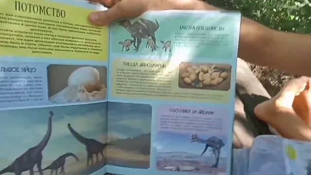 Обзор на книгу "АТЛАС ДИНОЗАВРОВ"| Крутые обзоры. смотреть онлайн