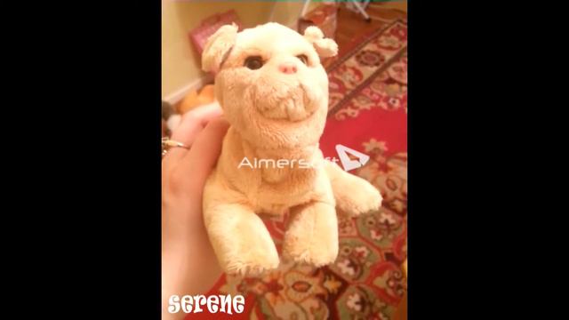 Самая милая собачка на свете смотреть онлайн