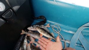 РЫБАЛКА НА ТАИНСТВЕННОМ ОЗЕРЕ ОТМЕТИЛИ ПРАЗДНИК В ПАЛАТКАХ