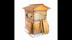 Австралийский ульи автоматический улей улей Flow Hive