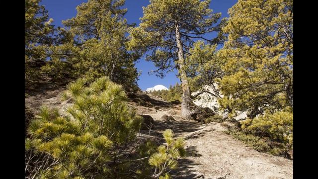 Пещера Миларепы