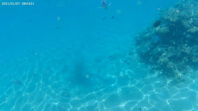 Египет. Хургада. Красное море. Май 2021г. смотреть онлайн