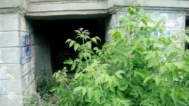 Волгоград,краснооктябрьский район смотреть онлайн