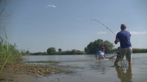 Удачная рыбалка в Астрахани