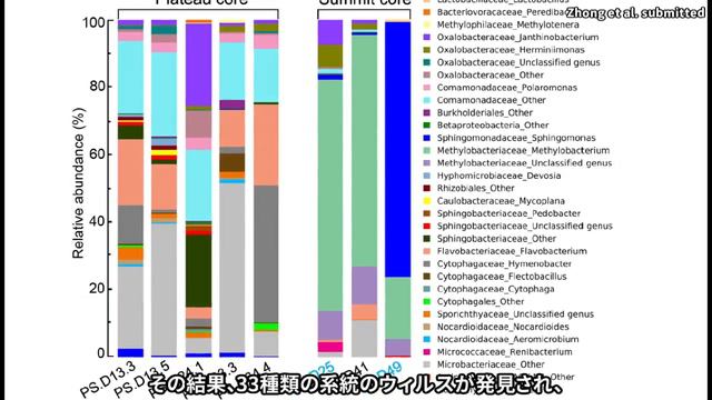 古代のウィルスが1万5千年前の氷河から見つかった話【論文紹介】 смотреть онлайн