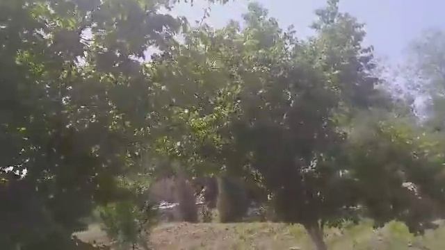 ДЕВОРГА СУЯБ ХОТИНИНИ БУК,АБА СУЗДИРДИ смотреть онлайн