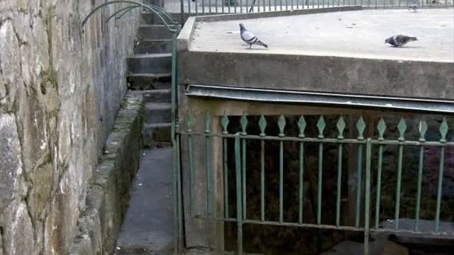 Campanhã - Porto смотреть онлайн