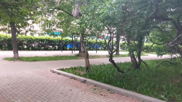 Сиреневый бульвар. Московская хроника 24 мая 2023 года смотреть онлайн