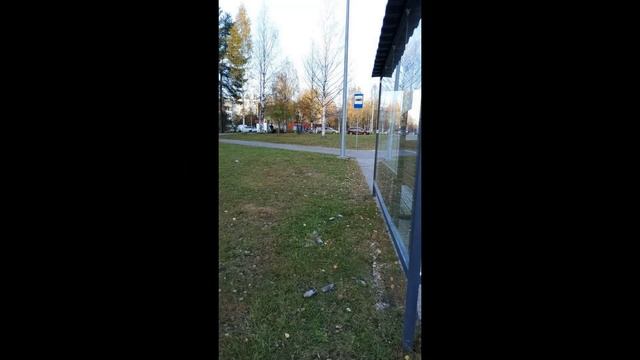 Вытрезвитель