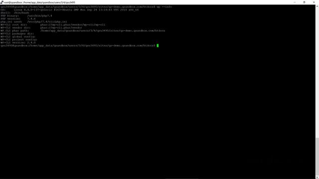 WP-CLI Tutorial - How to Get WP CLI info смотреть онлайн