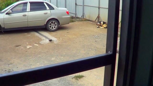 Ворота гаража своими руками смотреть онлайн