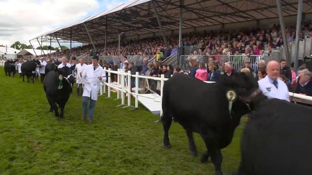 The World Angus Forum 2017 - Royal Highland Show 23rd June смотреть онлайн